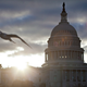 Illustration for article titled Anonymous Says They Leaked 2,000 Congressional Email Passwords